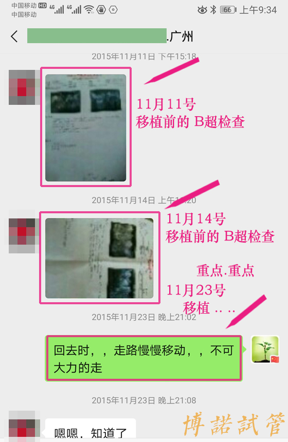 澳洲代孕流程.jpg