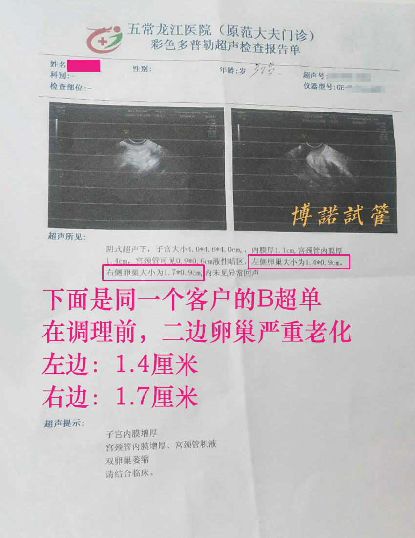 澳洲代孕医院.jpg