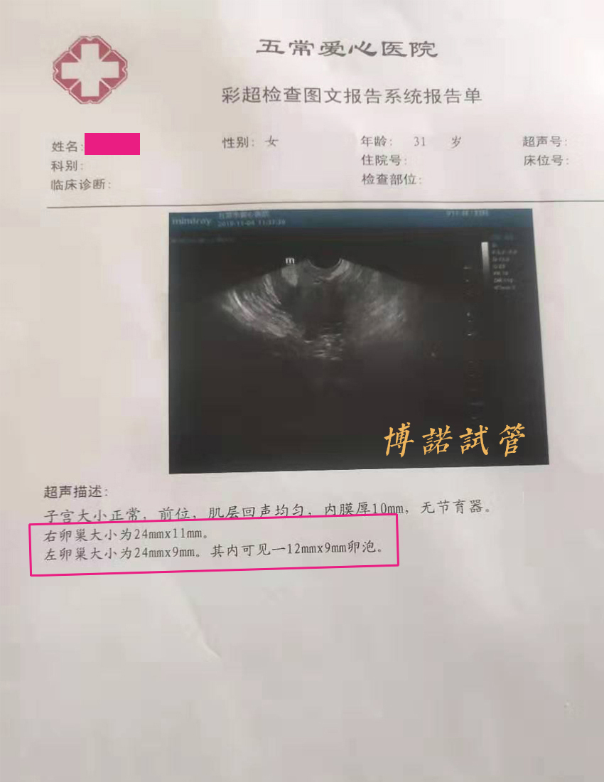 澳洲代孕流程.jpg