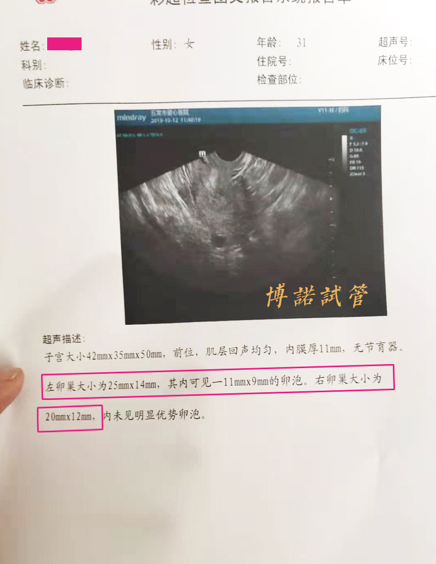 澳洲代孕中介.jpg