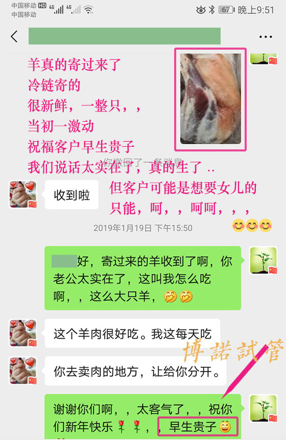 澳洲代孕流程详解.jpg