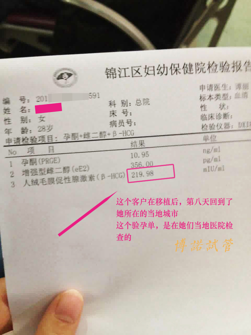 澳洲代孕试管婴儿.jpg