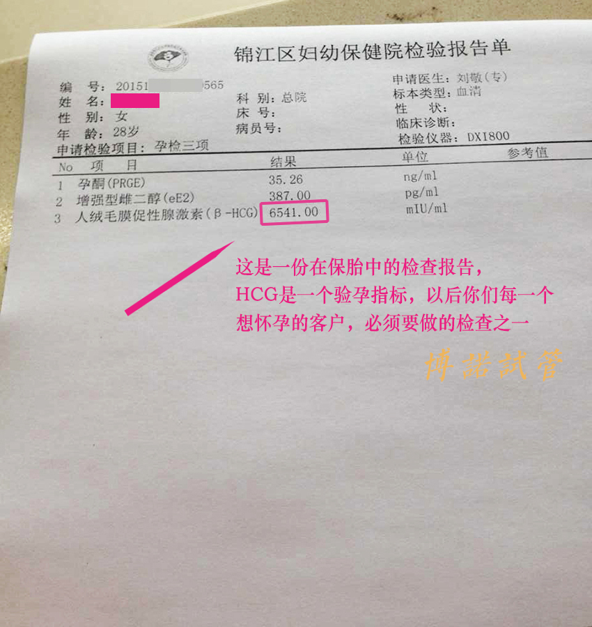 澳洲代孕妈妈招聘.jpg