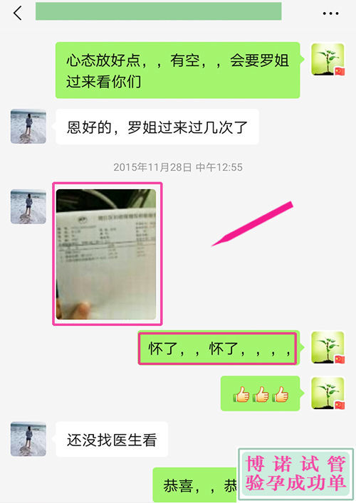 澳洲试管成功 - 只5个胚胎