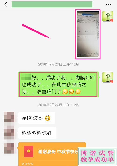 澳洲试管成功 - 内膜0.61成功