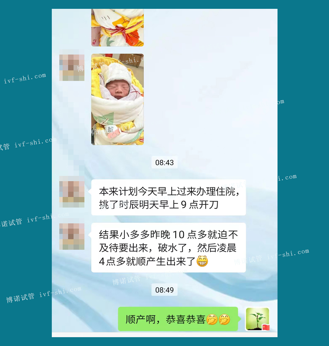 澳洲代孕妈妈.jpg