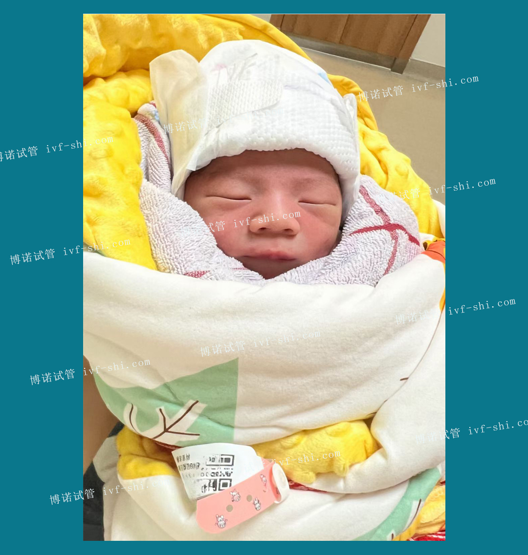 澳洲代孕中介.jpg