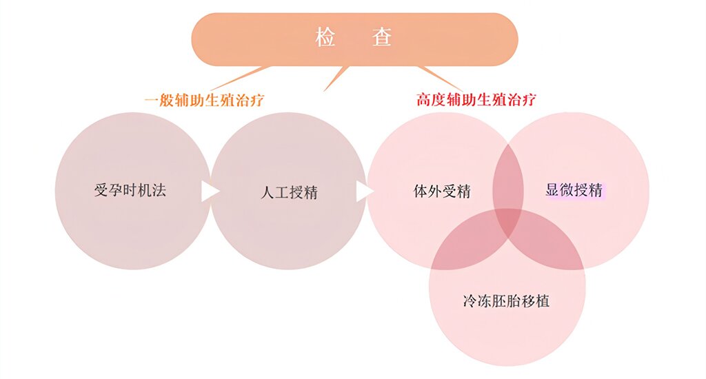 澳洲代孕：让爱延续 让梦想重生