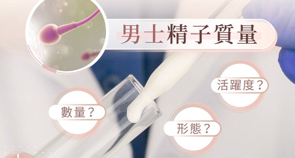 澳洲代孕机构：试管婴儿的实施步骤