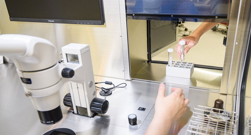 澳洲代孕公司：让爱与生命重新被点亮