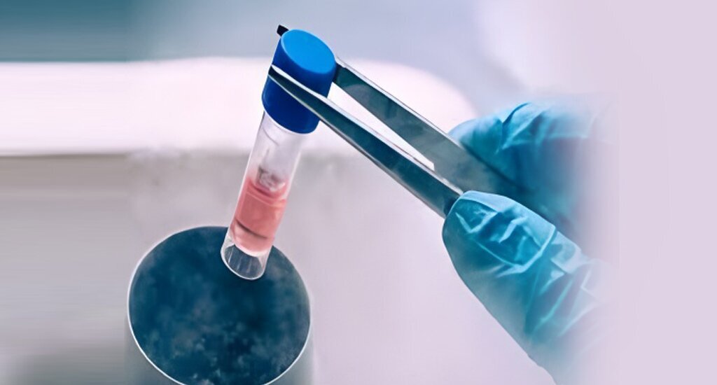 澳洲代孕：医学权威告诉你 试管成功率背后的真相